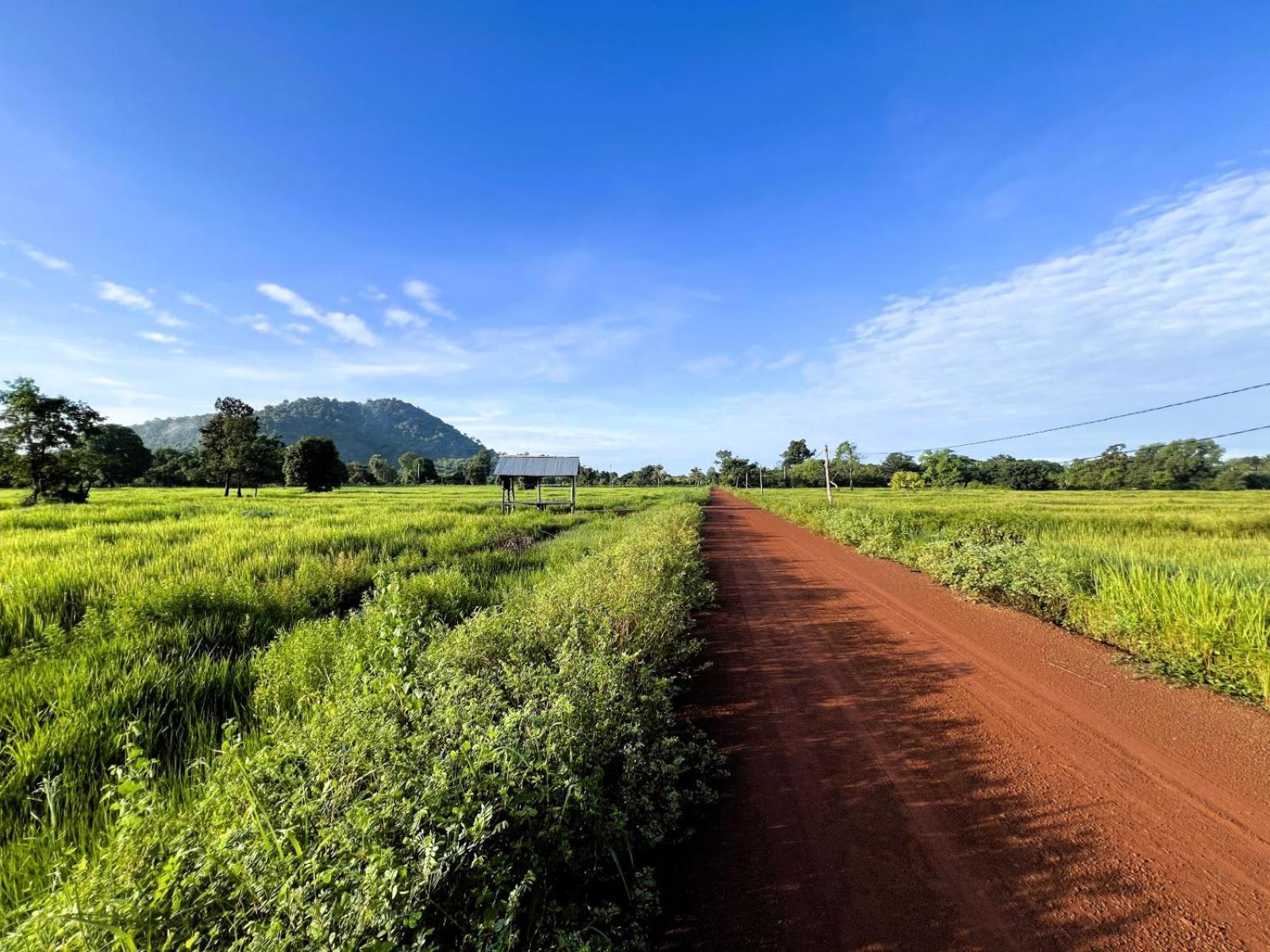 The Little Vegan Homestay Phumi Banteay Srei Extérieur photo